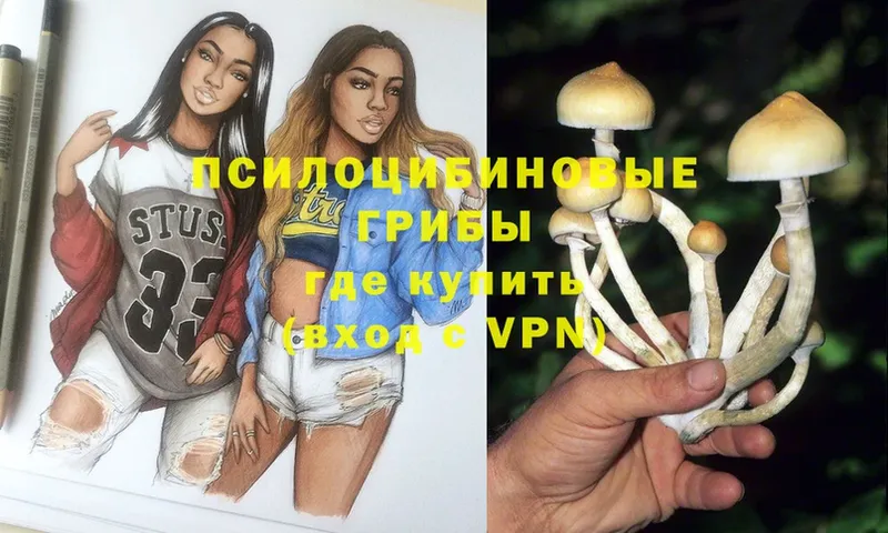 Галлюциногенные грибы Psilocybine cubensis  Ярославль 